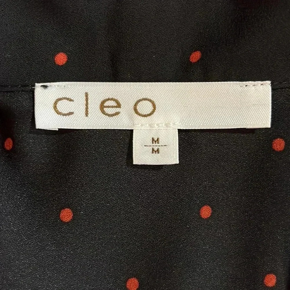 Cleo Short Sleeve Polka Dot  Blouse - Picture 9 of 10